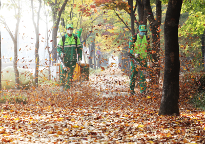 [포토 뷰] 송풍기 바람에 흩날리는 가을