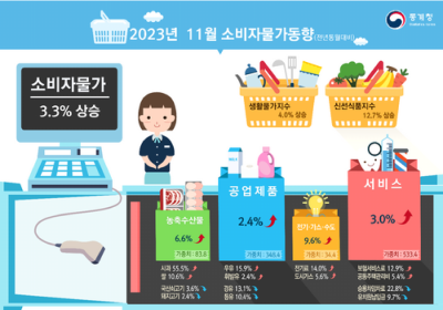 11월 물가 3.3% 상승…넉달 연속 3%대 유지
