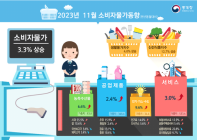 11월 물가 3.3% 상승…넉달 연속 3%대 유지