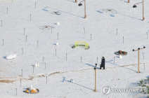 크리스마스 전국 곳곳 대설특보…눈 쌓여 빙판길 주의