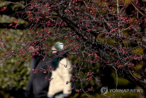 수도권 등 중서부 지방 미세먼지 ‘나쁨’