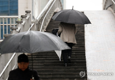 ‘봄 전령사’ 입춘’맞은 일요일 포근하다…흐리다 가끔 비