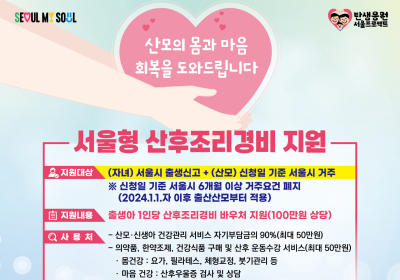 서울서 출산하면 누구나 산후조리경비 100만원 받는다