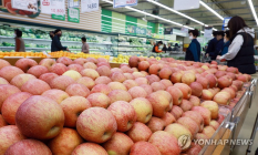 ‘金사과’ ‘金배’ 소매가 일주일 새 10% 가량 내렸지만…