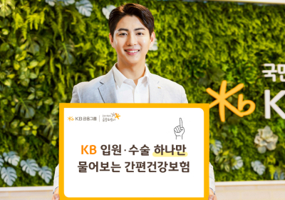 KB손보, 입원·수술 하나만 물어보는 ‘간편건강보험’ 출시
