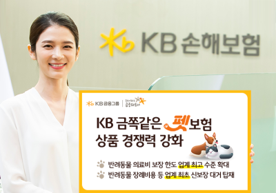 KB손해보험, ‘KB금쪽같은 펫보험’ 개정 출시…“상품 경쟁력 강화”