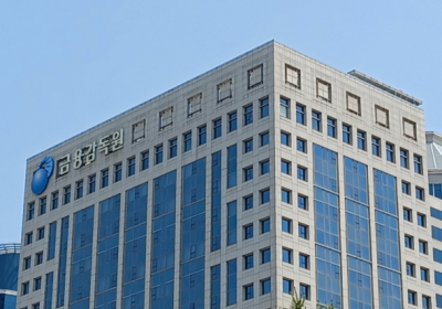 금감원, 정치테마주 특별단속반 확대…불공정거래 제보시 최대 30억 원 포상금