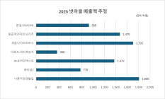 DS증권, 