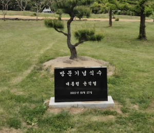 사라진 '윤석열 기념식수 비석'