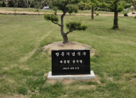 [포토뷰] 사라진 '윤석열 기념식수 비석'