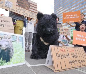 ‘사육곰 대책마련하라’