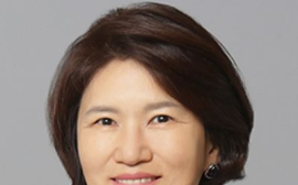 사기적 부정거래, ‘모호함과 집요함’의 경계