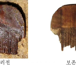북한, 목재유산보존기술 개발