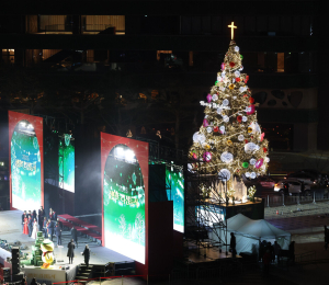 불 밝힌 서울광장 성탄트리