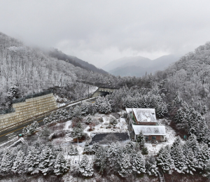 강원은 벌써 겨울왕국